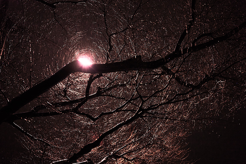 28-75mm F2.8 G2 A063 作例 大村 祐里子