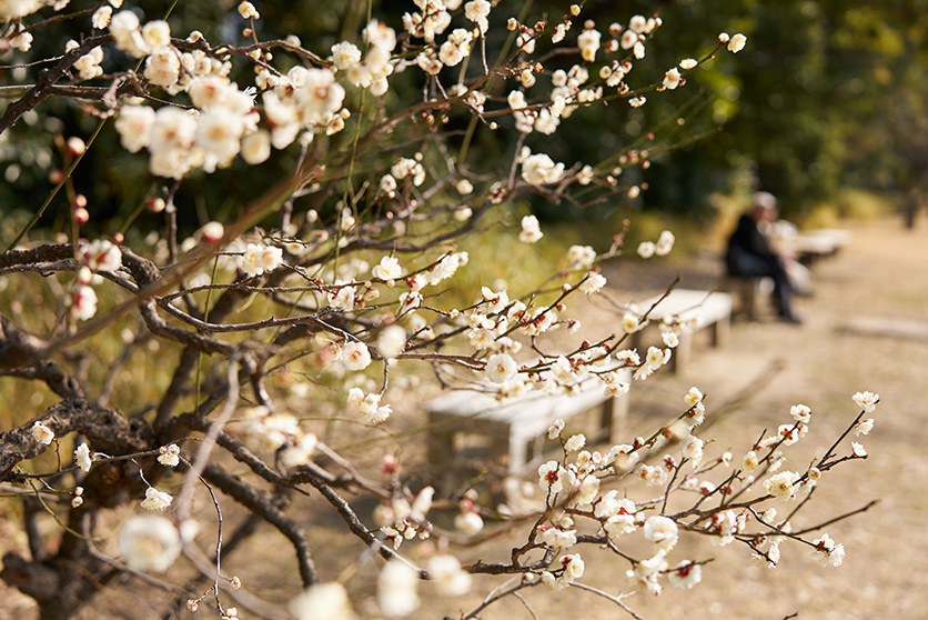 28-75mm F2.8 G2 A063 作例 大村 祐里子