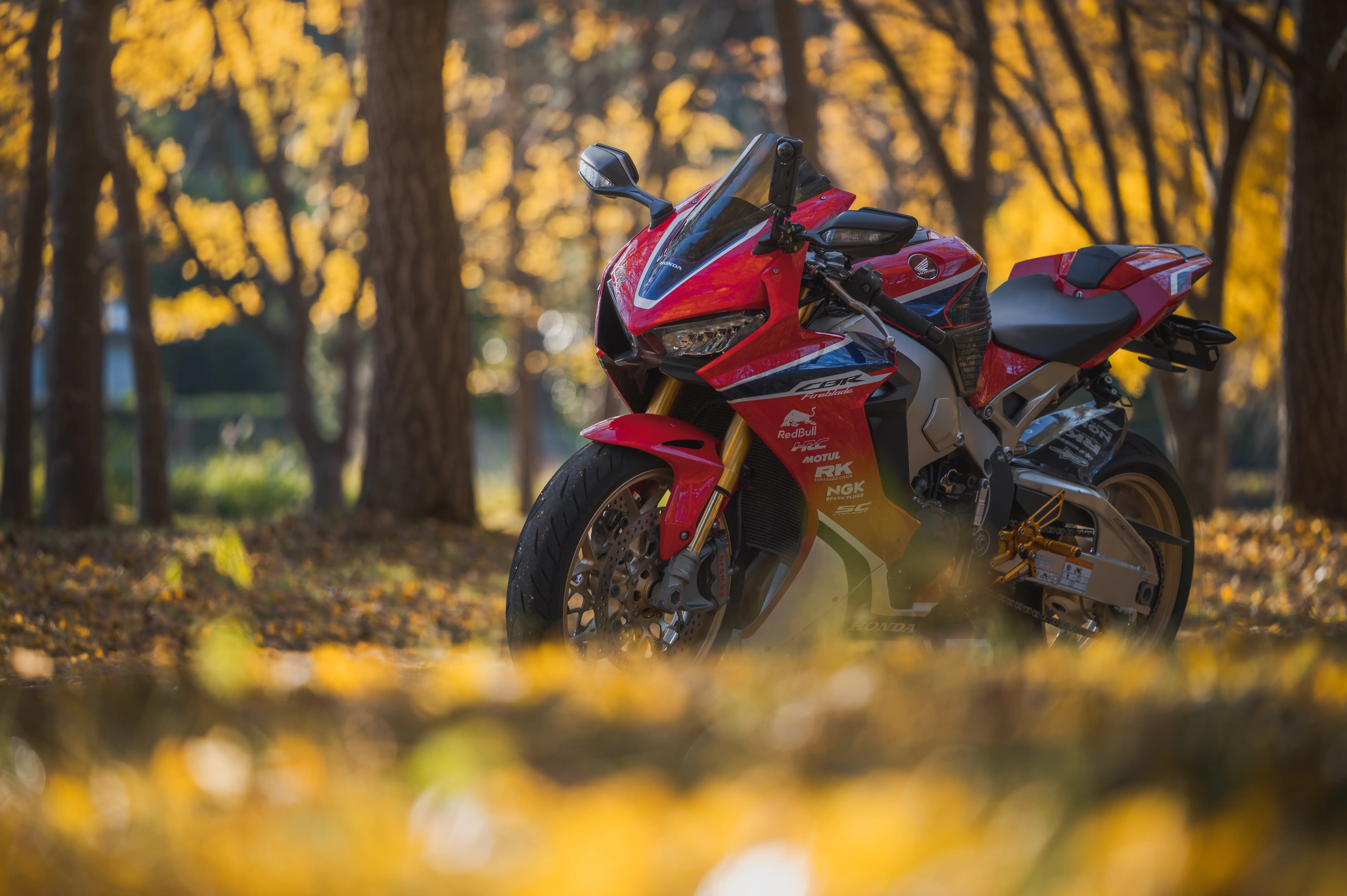 70-180mm F/2.8 Di III VC VXD G2 (Model A065)製品レビュー