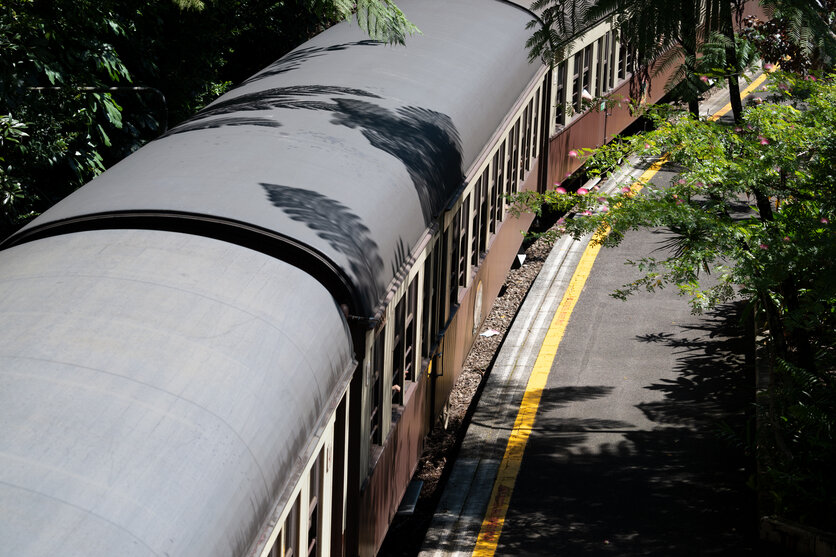 写真家 テラウチ マサト氏がタムロン50-400mm F4.5-6.3 (Model A067