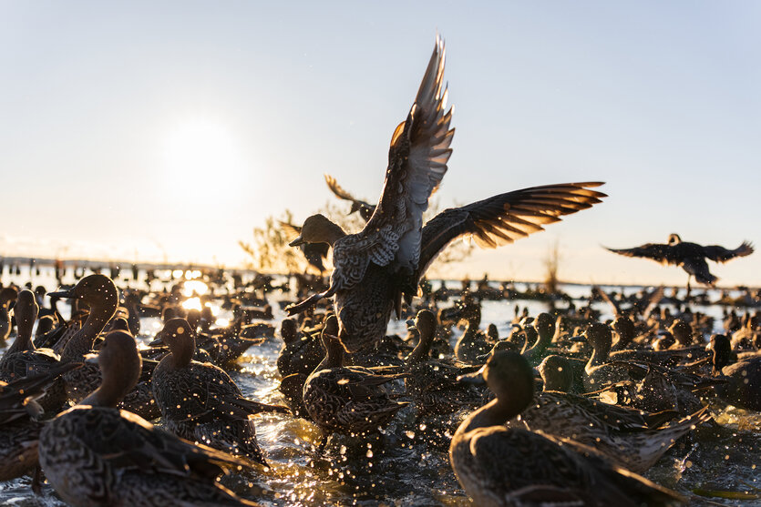 写真家 関 一也氏がタムロン35-100mm F2.8 (Model A078) ソニー Eマウント用、ニコン Z マウント用で描き出すポートレートと風景