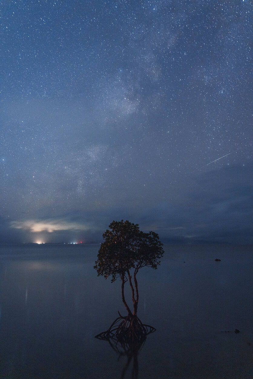 写真家 関 一也氏がタムロン35-100mm F2.8 (Model A078) ソニー Eマウント用、ニコン Z マウント用で描き出すポートレートと風景