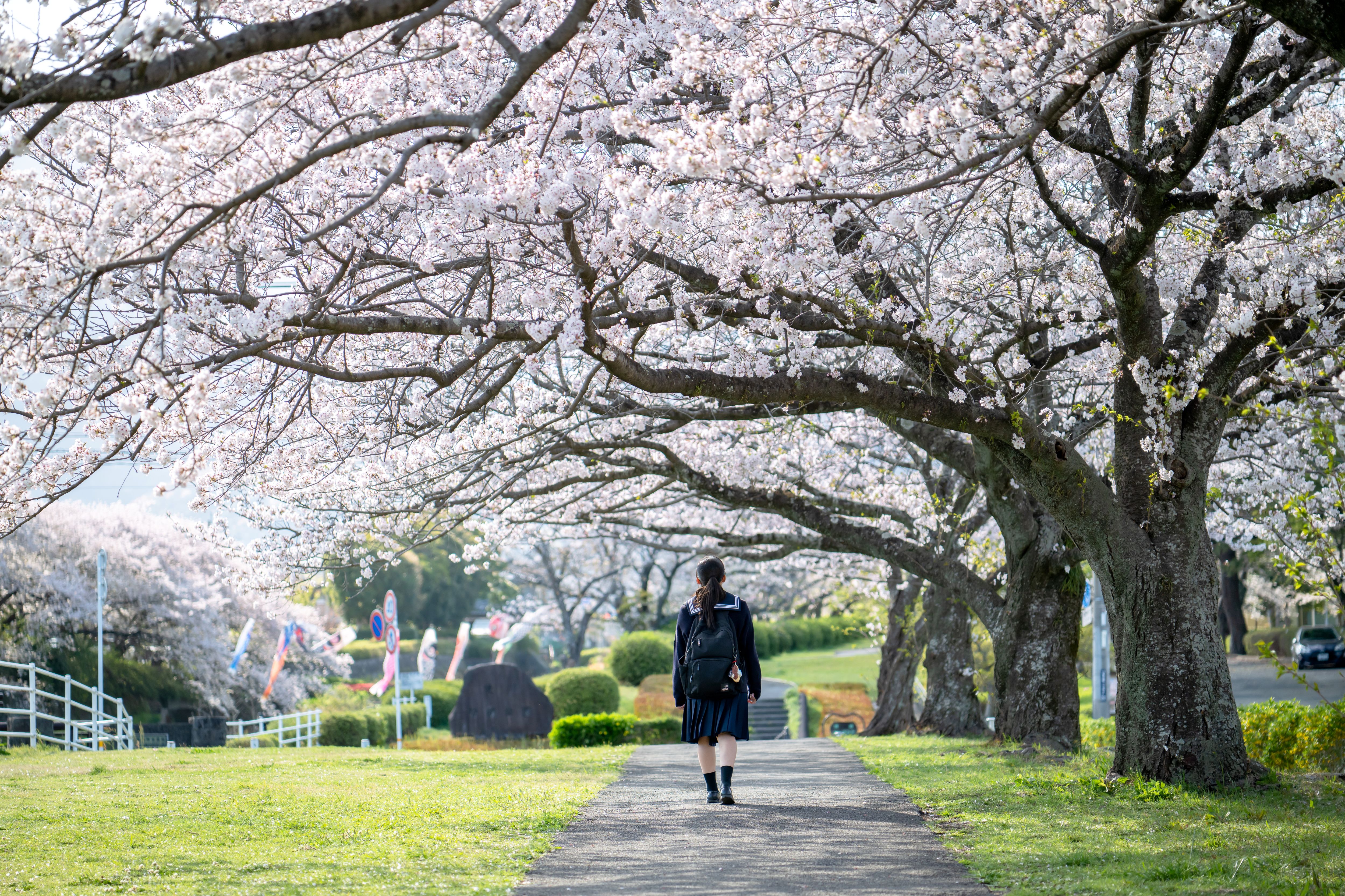35-100mm F/2.8 Di III VXD (Model A078)