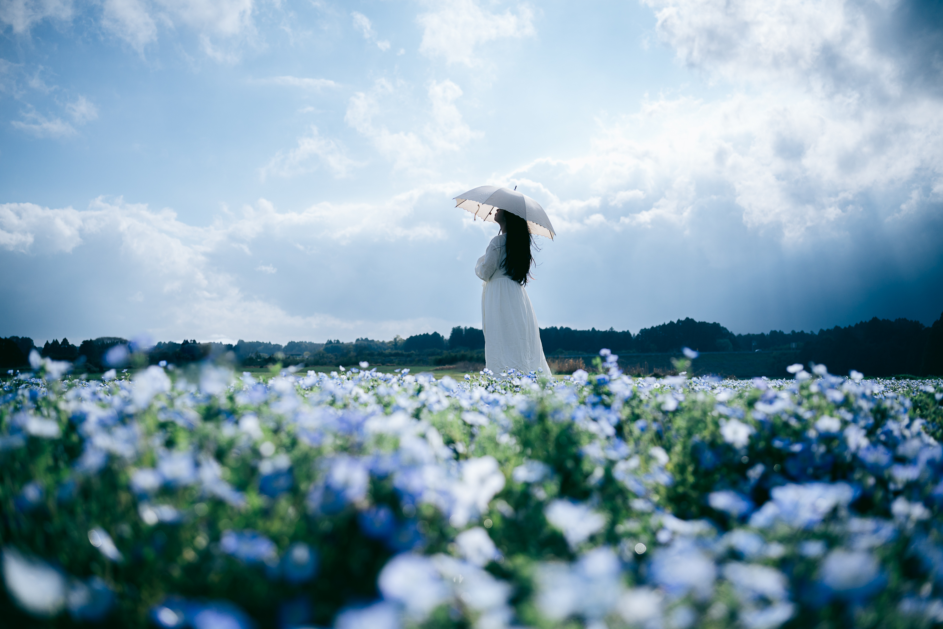 35-100mm F/2.8 Di III VXD (Model A078)
