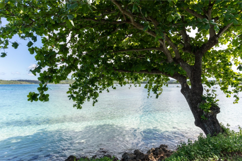 キラキラと光る海 キラキラと光る海
