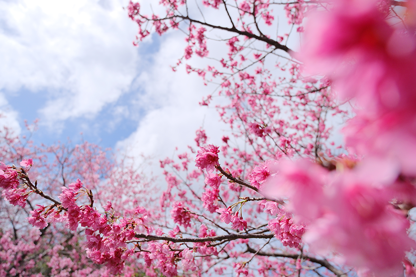 Fine-tuning photos for your desired outcome Fine-tuning photos for your desired outcome