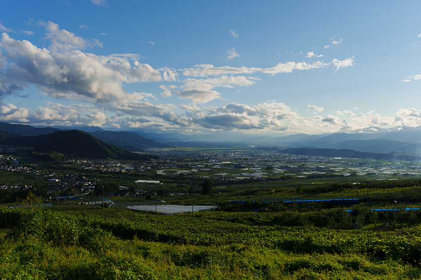 風景