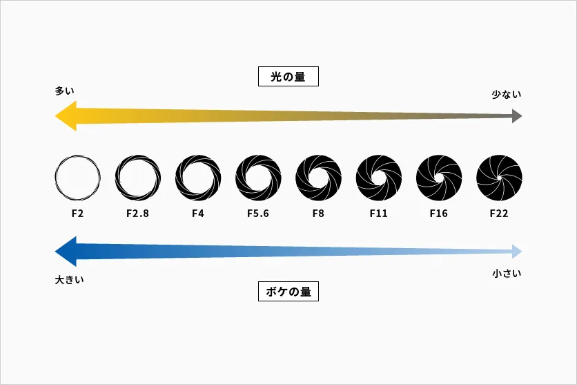 F値(絞り値)とは？設定例やシャッタースピード、ISO感度との関係まで徹底解説