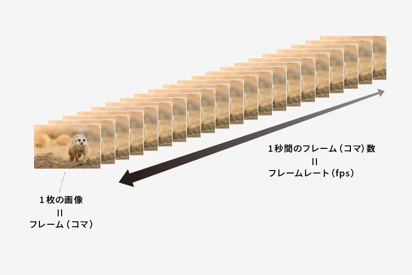 フレームレートの説明図