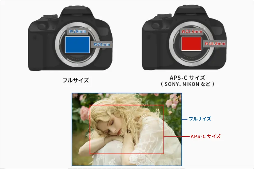 フルサイズとAPS-Cレンズのイメージ図