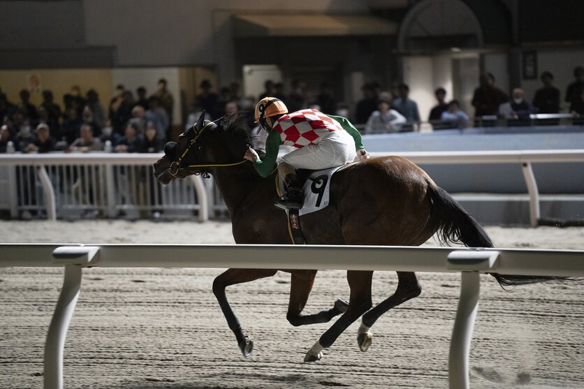 競馬写真家 武田 明彦氏が、タムロン70-180mm F2.8 G2 (Model A065)で