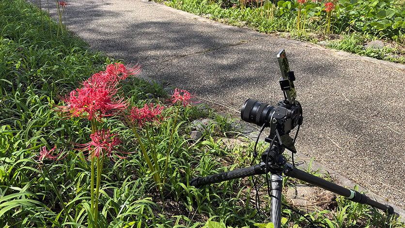 「フォーカスタイムラプス」機能の登場