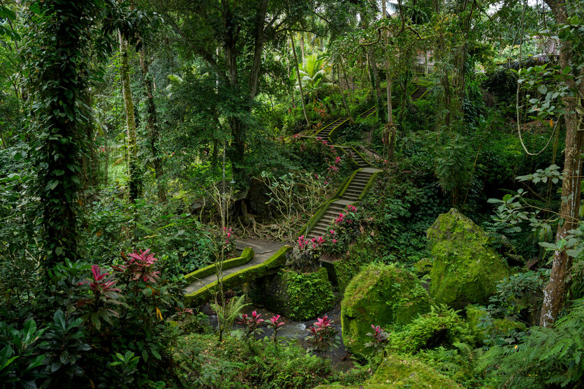 a075_magnification_02_en a075_magnification_02_en