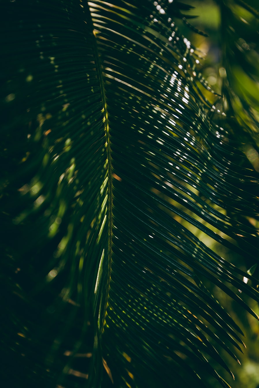 Travel Photo  (Click to enlarge)