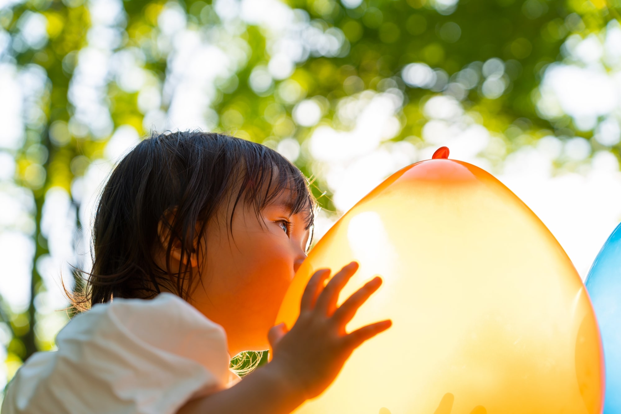 TAMRON 28-75mm F2.8 G2 (Model A063)　Focal length：74mm　Exposure：F4　Shutter speed：1/500sec　ISO：200