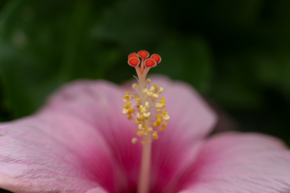 TAMRON 50-300mm F4.5-6.3 (Model A069)　Focal length：50mm　Exposure：F4.5　Shutter speed：1/60sec　ISO：800