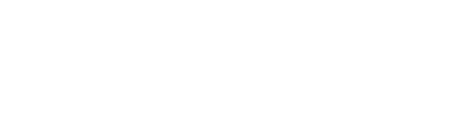 Development of an Auto Focus system