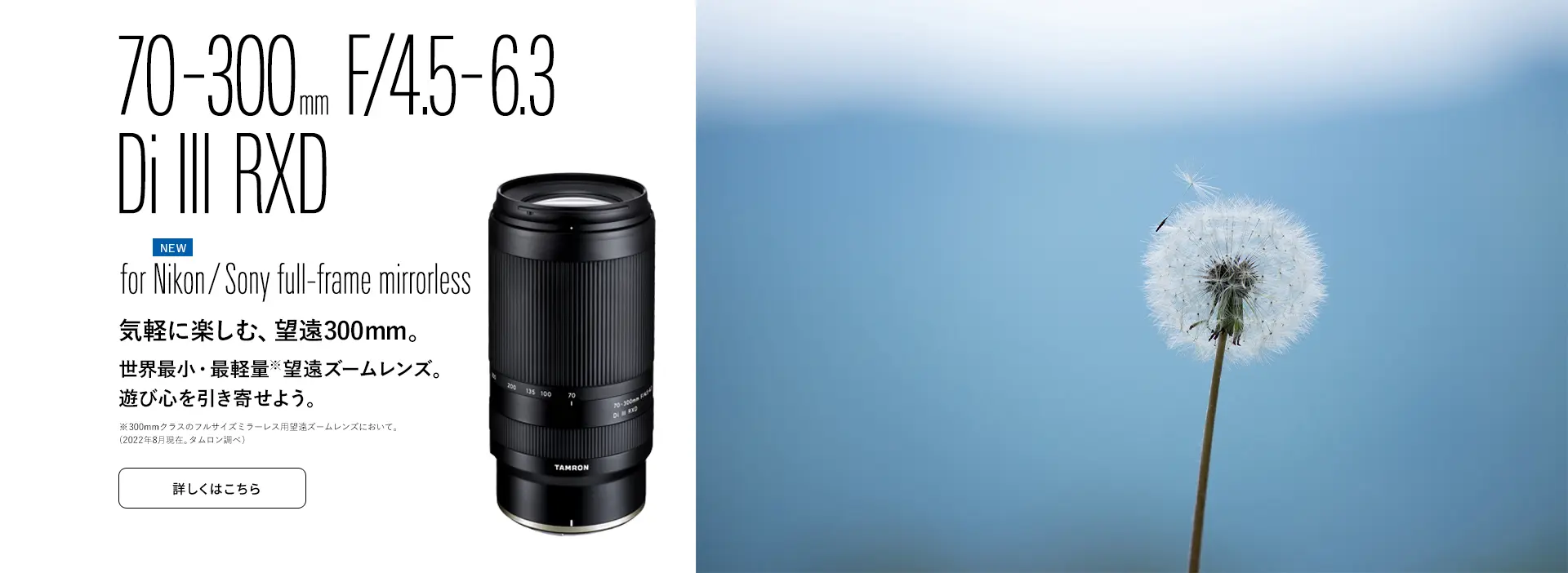タムロン 写真用レンズ フォトサイト - TAMRON