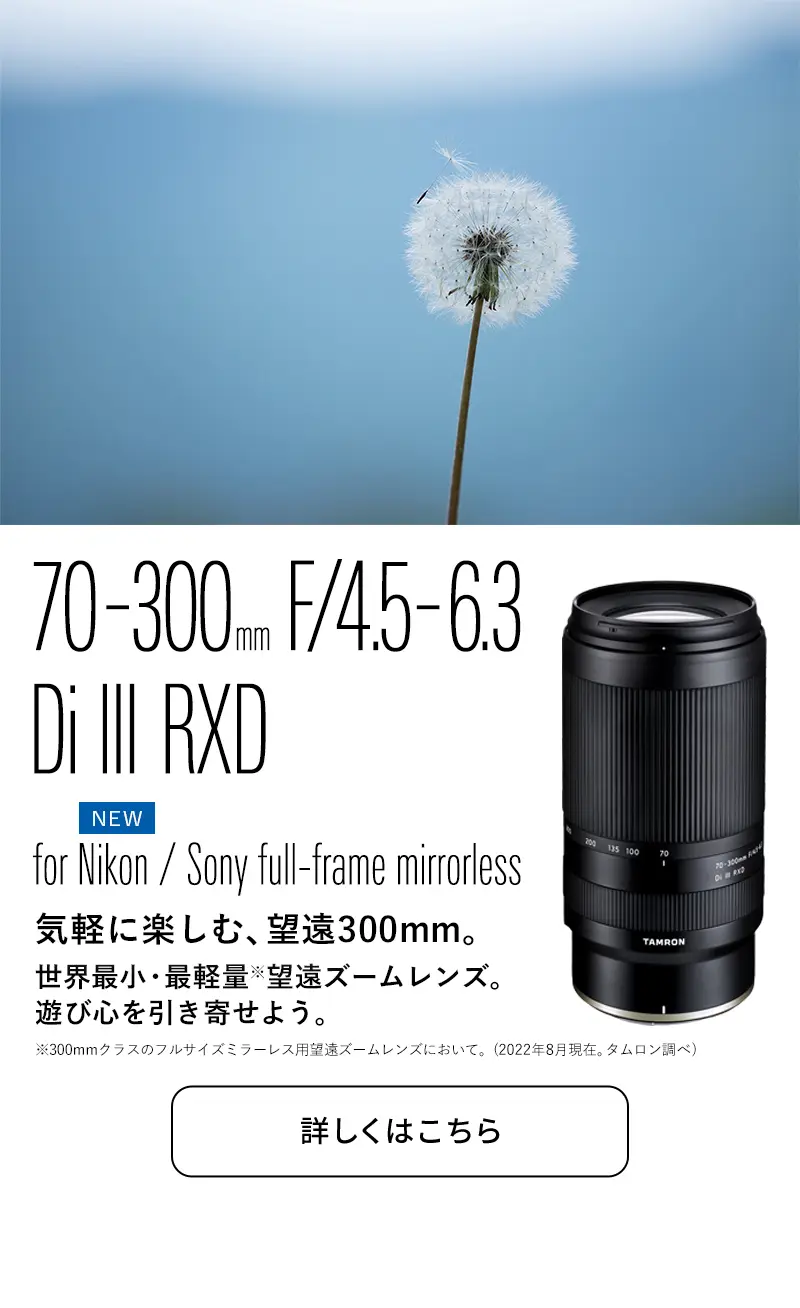 TAMRON 高倍率ズームレンズ ソニーEマウント用 18-200mm - レンズ(ズーム)