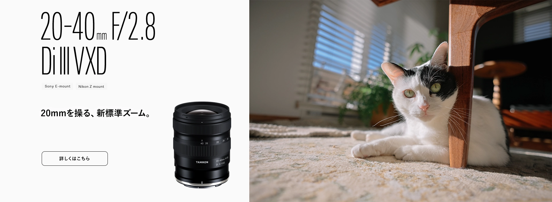 タムロン 写真用レンズ フォトサイト - TAMRON