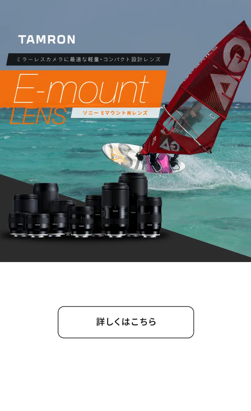 e-mount