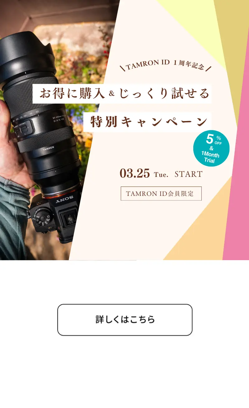campaign