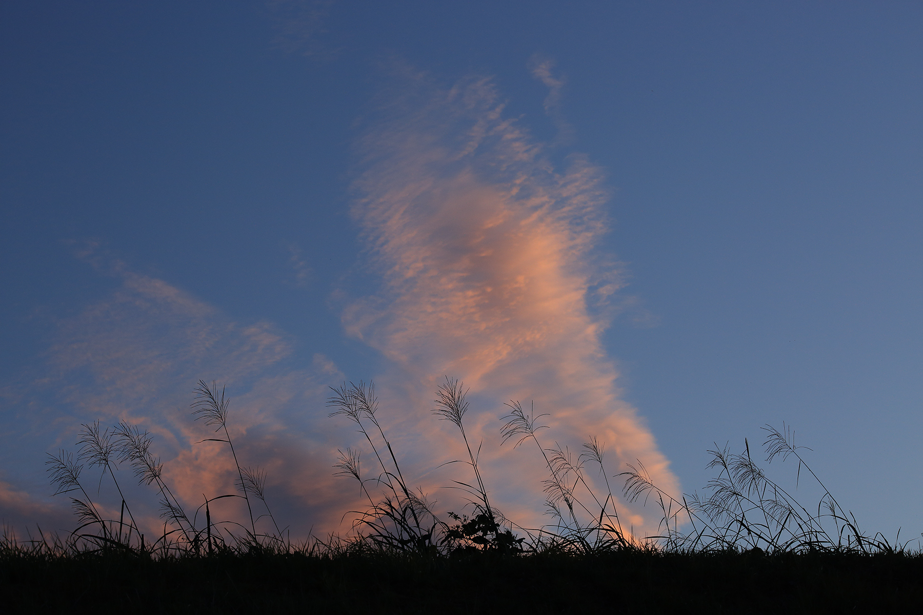 Nature　Yukie Hayashi (Model A034)