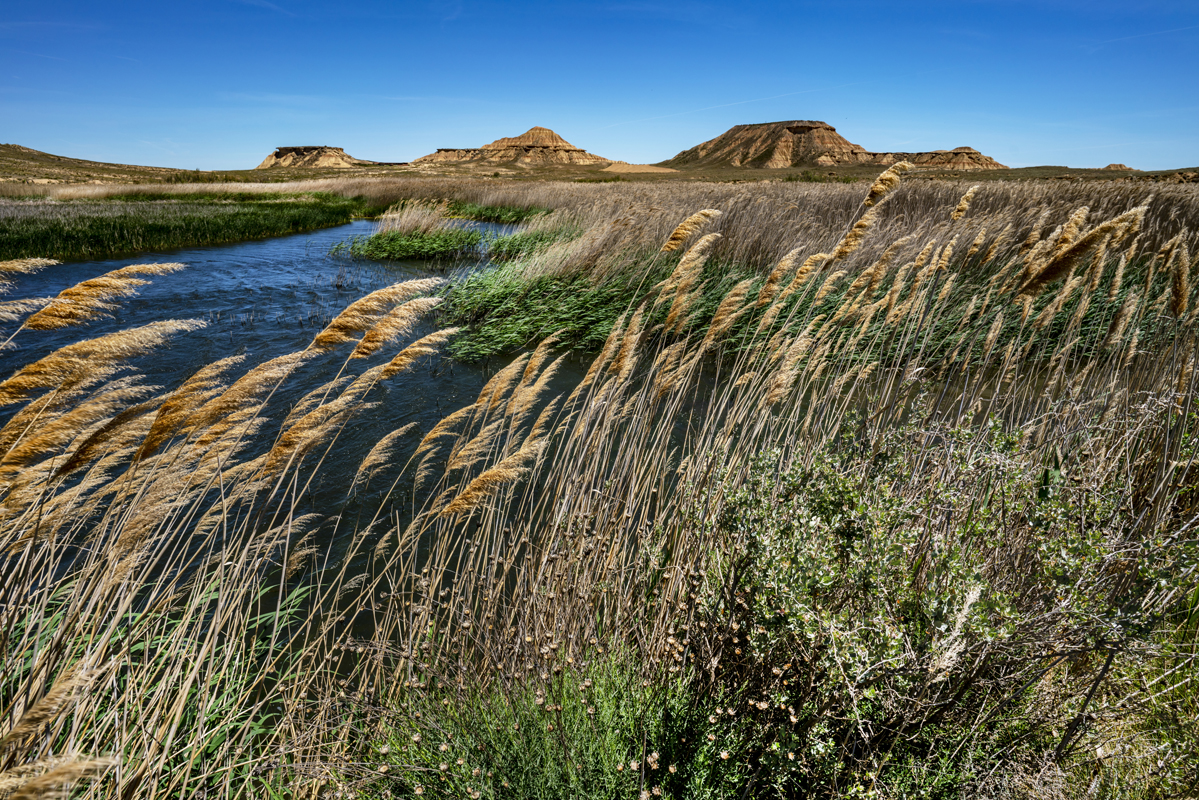 Landscape　 Zvardon (Model A046)