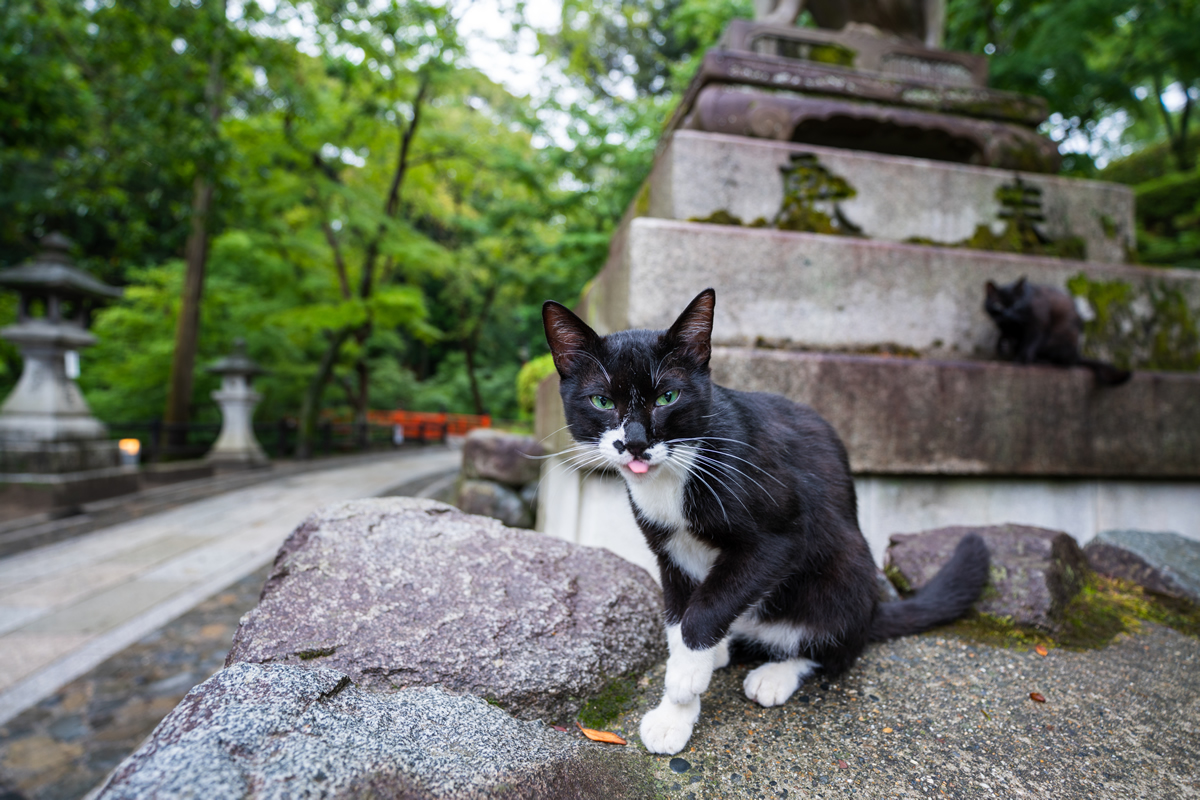 Snap　Takahiro Bessho (Model A046)