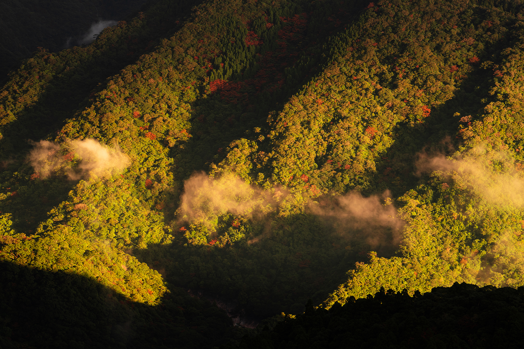 Nature　Kentaro Fukuda (Model A056)