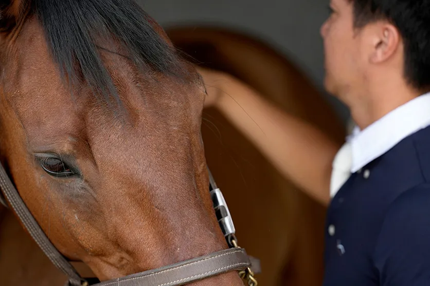 The world of equestrian taken by sports photographer Kazuyuki Ogawa with TAMRON 70-180mm F2.8 G2 (Model A065)