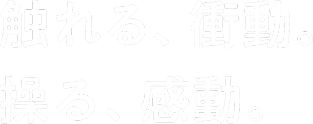触れる、衝動。操る、感動。