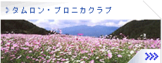 タムロン・ブロニカクラブ