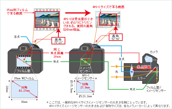 Di IIレンズは、デジタル一眼で最適な範囲が撮影できるように設計されています。