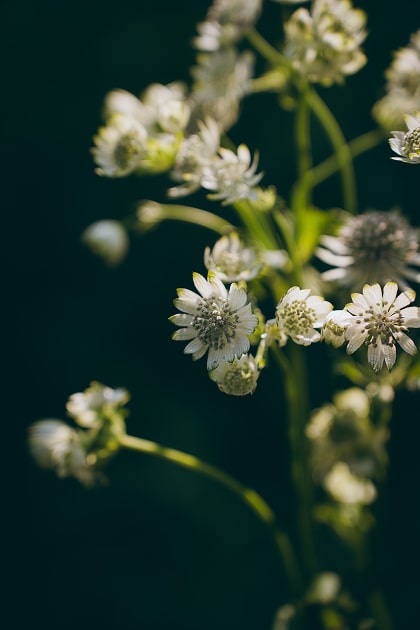 Artistic Photo 写真5