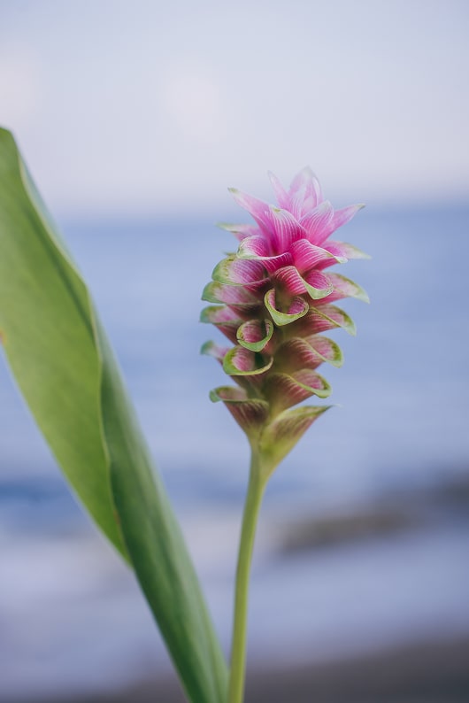 Travel Photo 写真3