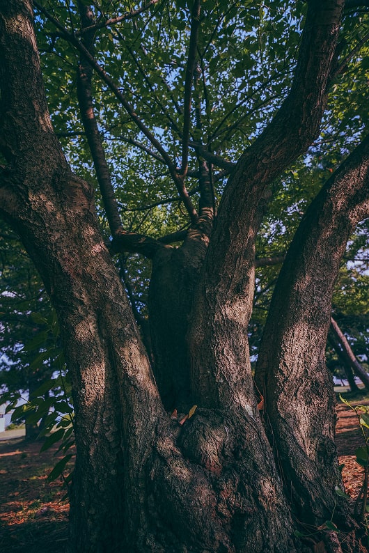 Travel Photo 写真4