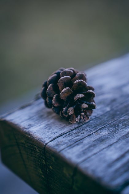 Travel Photo 写真7