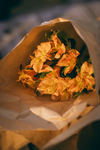 Travel Photo 写真8