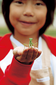 「カマキリ君」　百﨑 礼治