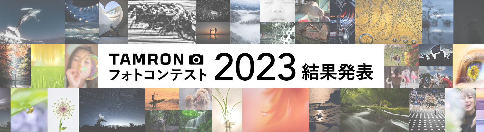 TAMRON フォトコンテスト 2023 結果発表