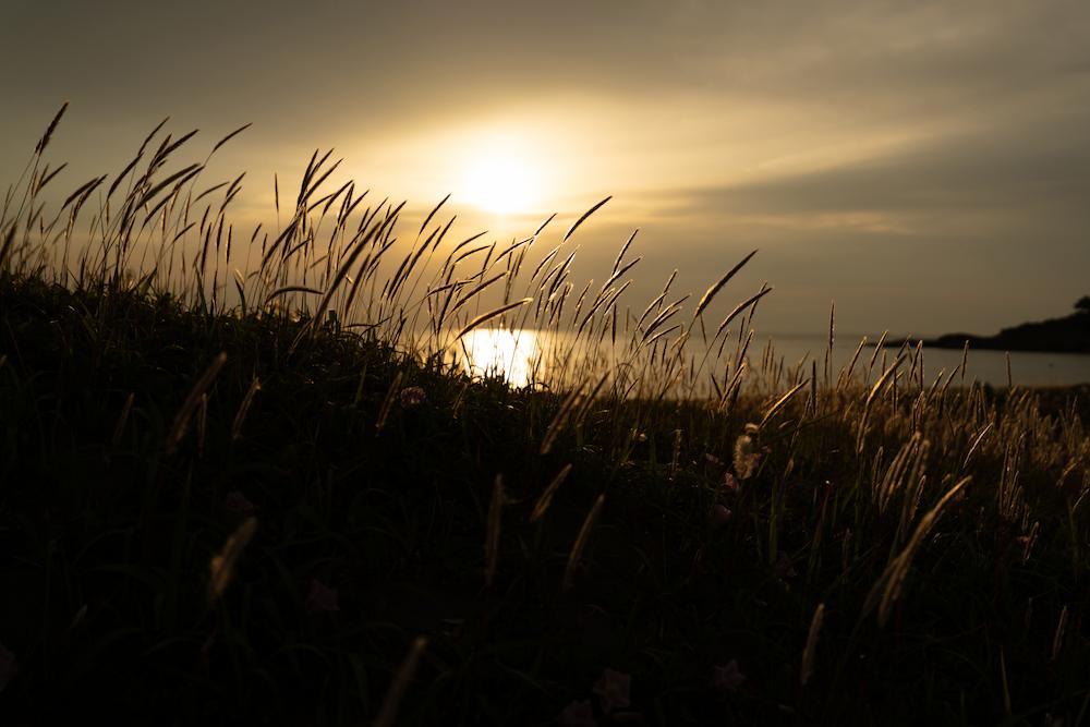 タムロン 16-30mm F2.8 G2 (Model A064)　焦点距離：30mm　絞り：F2.8　シャッタースピード：1/8000秒　ISO感度：100