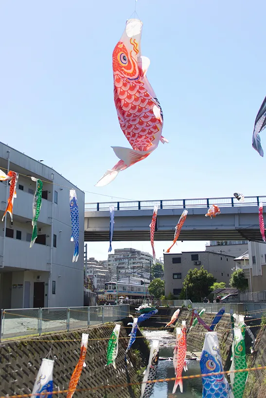泳ぎ合う