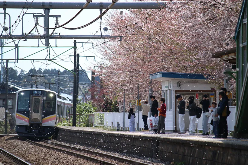 刹那のピンク、日常のブルー
