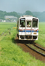 「私も撮ってま～す」　横山 隆行