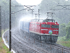 「驟雨をついて」　渋木 理俊