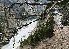 「渓谷に沿って」　三浦 有稀