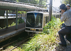 「おじちゃんも電車が好き？」　下田 将太郎