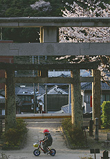 「帰り道」　富岡　満隆