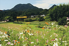 「秋景」　中原　直樹